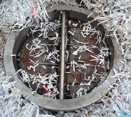 Crane DUO-CHEK II Check Valve 24 inch