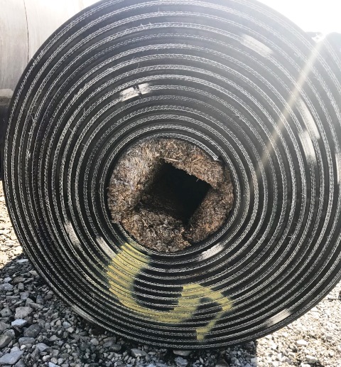 Fabric Conveyor Belt Roll 5 (Width 48 inch, Length 60 ft)