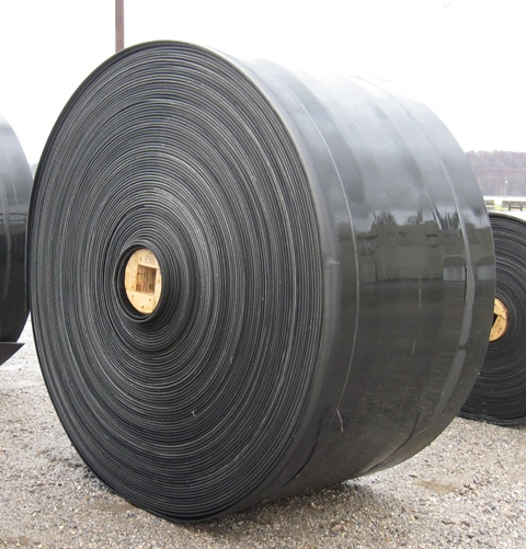 Fabric Conveyor Belt Plylon Plus Survivor (48 inches,  900 feet) Roll F