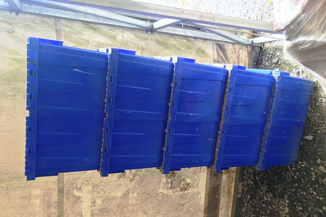 Plastic Storage Totes - Qty 5 (Lot 6)