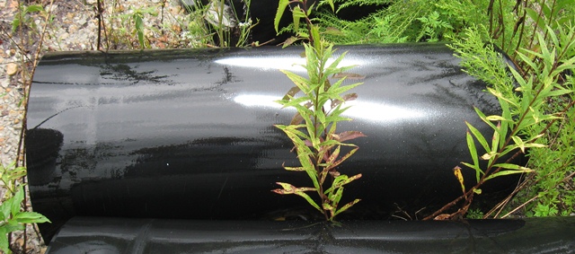 Fabric Conveyor Belt (42inches,  20 feet)  Reel No. 11