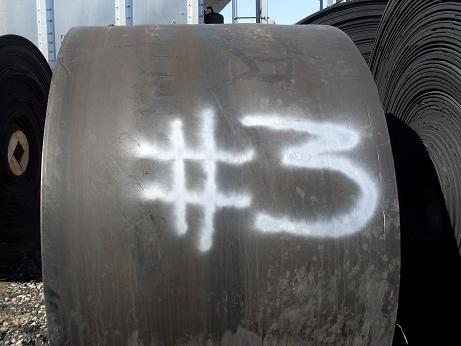 Conveyor Belt (Fabric 48 inch)