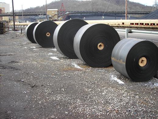 5 Rolls Conveyor Belt