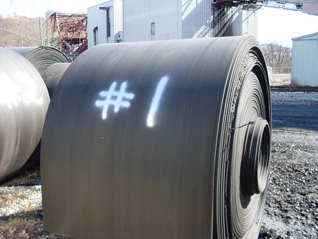 Conveyor Belt (Flex wire 60 inch)